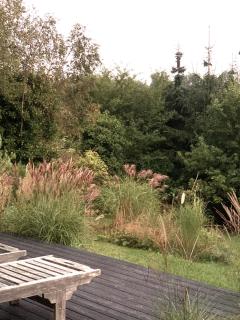 A Sustainable Architect-Designed Sanctuary - Yderby - 1
