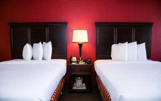 Hotel DSR Tark Plaza Near IGI Airport Delhi - Neu-Delhi - 4