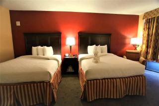 Hotel DSR Tark Plaza Near IGI Airport Delhi - Neu-Delhi - 1