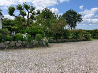 Marielyst B&B - Apartments - 5