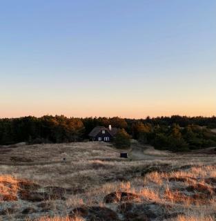 Enchanting Thatched Home In Skagen Dunes - Skagen - 9