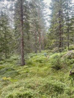 Rustic Cottage For Creative Souls By Lake Lingbo - Lingbo - 5