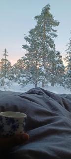 Modern Cabin By Snøhetta At Blefjell - Svene - 8