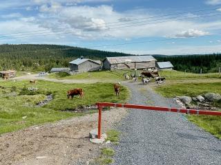 Cosy Holiday Home With Hiking At Synnfjell - Etnedal - 2