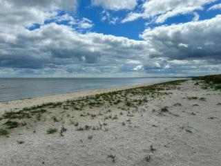 Holiday Home By Ålbæk Beach For The Whole Family - Ålbæk - 5