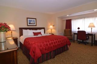 Hotel Royal Le Mount Near IGI Airport Delhi - Neu-Delhi - 5
