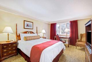 Hotel Royal Le Mount Near IGI Airport Delhi - Neu-Delhi - 3