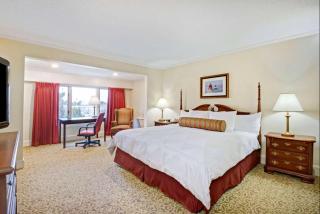 Hotel Royal Le Mount Near IGI Airport Delhi - Neu-Delhi - 0