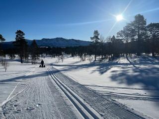Modern Mountain Home At Nerskogen, Trollheimen - 9
