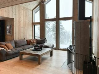 Modern Mountain Home At Nerskogen, Trollheimen - 4