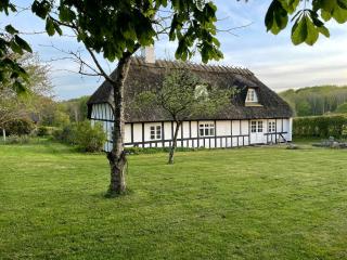 Immersion In Timber Frame House On Southwest Funen - Hårby - 0