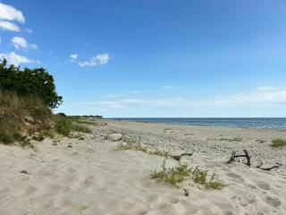 Authentic Farmhouse On Møn With Magnificent Nature - Askeby - 1