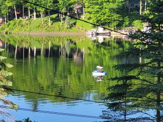 Castaways Cottage on Croton Pond #2 - Newaygo - 8