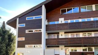 Swiss Alps Delight-Cozy High Style Luxurious Flat - Gstaad - 9