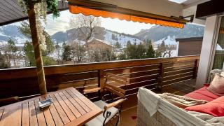 Swiss Alps Delight-Cozy High Style Luxurious Flat - Gstaad - 6