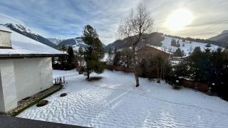 Swiss Alps Delight-Cozy High Style Luxurious Flat - Gstaad - 5