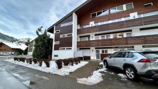 Swiss Alps Delight-Cozy High Style Luxurious Flat - 9