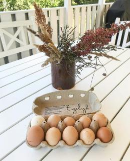 Summer House On Sunshine Island Bornholm - 1