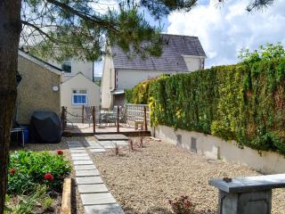 Sonny Cottage - Glanamman - 0