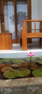 Nêst Guesthouse Tetebatu - Tetebatu - 9