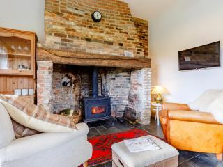 Pettingalls Farm Cottage - Great Ellingham - 8