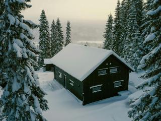 Charming Cabin Near Åre With Sauna And Fireplace - Åre - 3