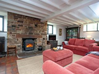 Chapel Cottage - Lydford - 0