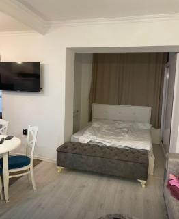 The house is fully furnished and is rented to foreigners only - Bakoe - 1