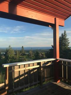 Charming Cabin With Fantastic View In Sjusjøen - 5