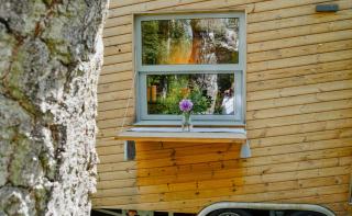 Tiny House By The Lake And An Artist Collective - 4