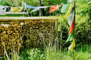 Tiny House By The Lake And An Artist Collective - 3