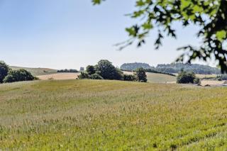 Connect In A Cosy Wooden Cottage - Knebel - 3