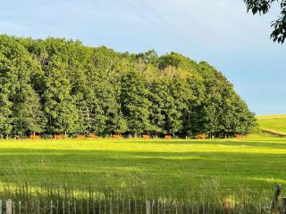 Modern Holiday Home With Views In Dronningmølle - Dronningmølle - 5