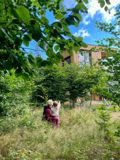Treehouse In The Harz National Park - 1