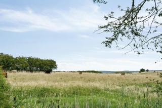 Sea View, Sunrise And 200 Meters To The Water - Kalundborg - 1