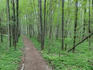 Charming Cabin With Panoramic View At Ranvika - - 3