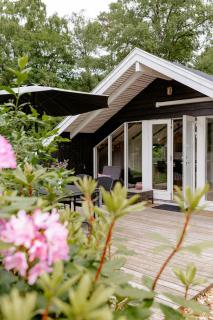 Immerse Yourself In Silkeborgs Wonderful Nature - Silkeborg - 0