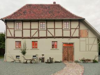 Experience 330-Year-Old Farmhouse In The Harz - Ballenstedt - 0