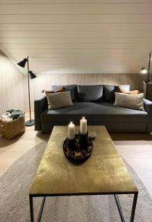 Cozy Cabin With Ski-In-Out At Raulandsfjell - Rauland - 2