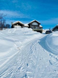 Lovely Family Cabin Near Geilo - Geilo - 2
