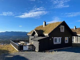 Modern Cabin With Ski In-Ski Out In Rauland - Torvetjørn - 3