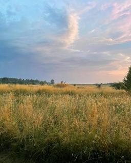 Old Holiday Home With Orangery In Rudbjerg - 3