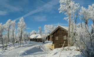 Large Log Cabin, Ski Fun Near Dagali - Dagali - 5