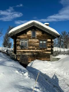 Large Log Cabin, Ski Fun Near Dagali - Dagali - 3