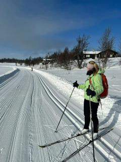 Large Log Cabin, Ski Fun Near Dagali - 6