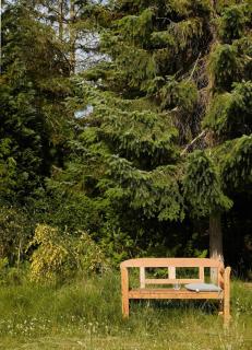 Private Plot With South Terraces By The Coast - Vejby - 4