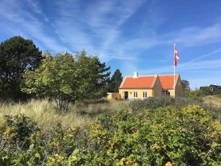 Fishing House In Old Skagen With Artistic Charm - Skagen - 5