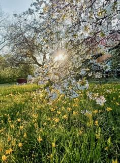 Garden House On Öland - 8