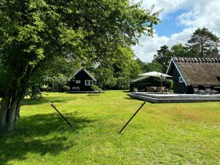 Elegant Summer House Near Heather Hill - Vejby - 1