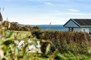 Cozy Home By Limfjord With Bathing Jetty - Snedsted - 3